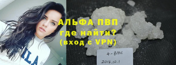 прущие грибы Нея