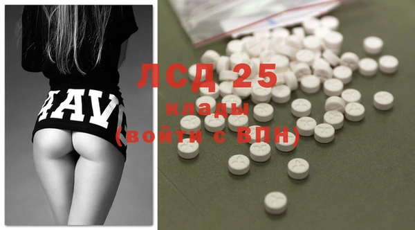 PSILOCYBIN Нефтегорск