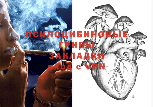 PSILOCYBIN Нефтегорск