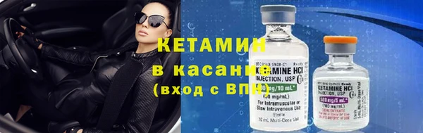 прущие грибы Нея