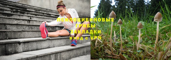 прущие грибы Нея