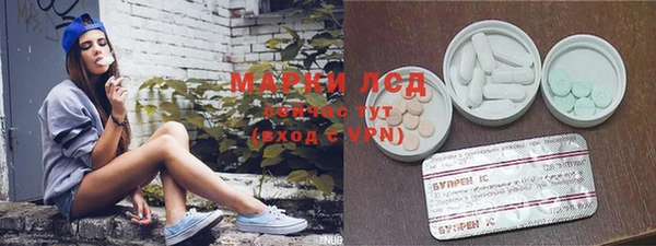 прущие грибы Нея