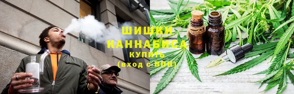 PSILOCYBIN Нефтегорск
