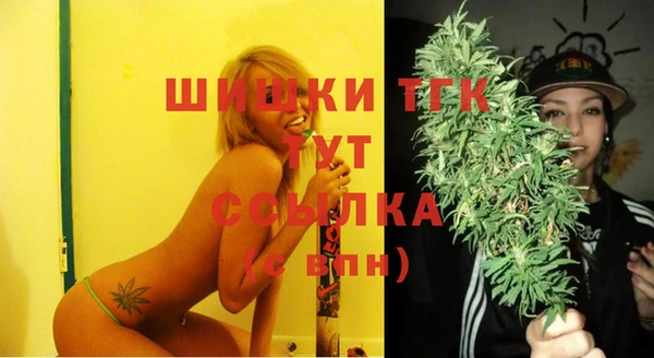 прущие грибы Нея