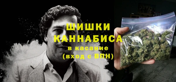 PSILOCYBIN Нефтегорск