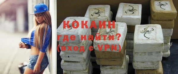 прущие грибы Нея