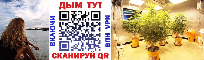 Бошки Шишки AK-47  Купить закладки  Горбатов 